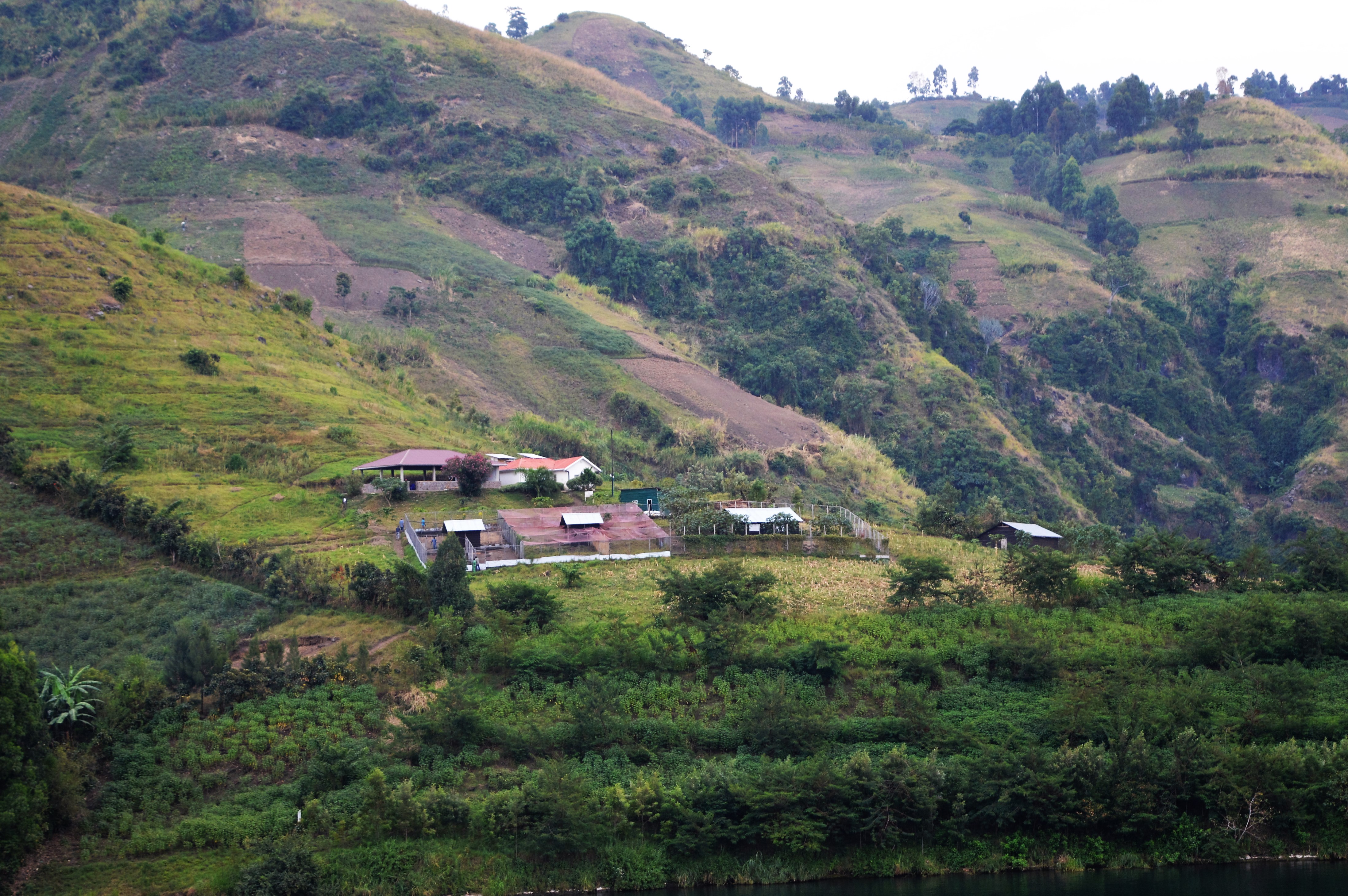 Kivu le site de la FEAGE est situé sur la presqu'île de Buzi-Bulenga