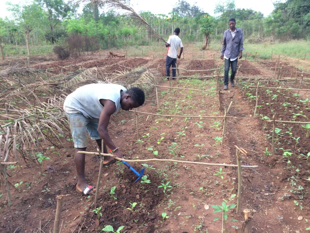 Formation des agriculteurs